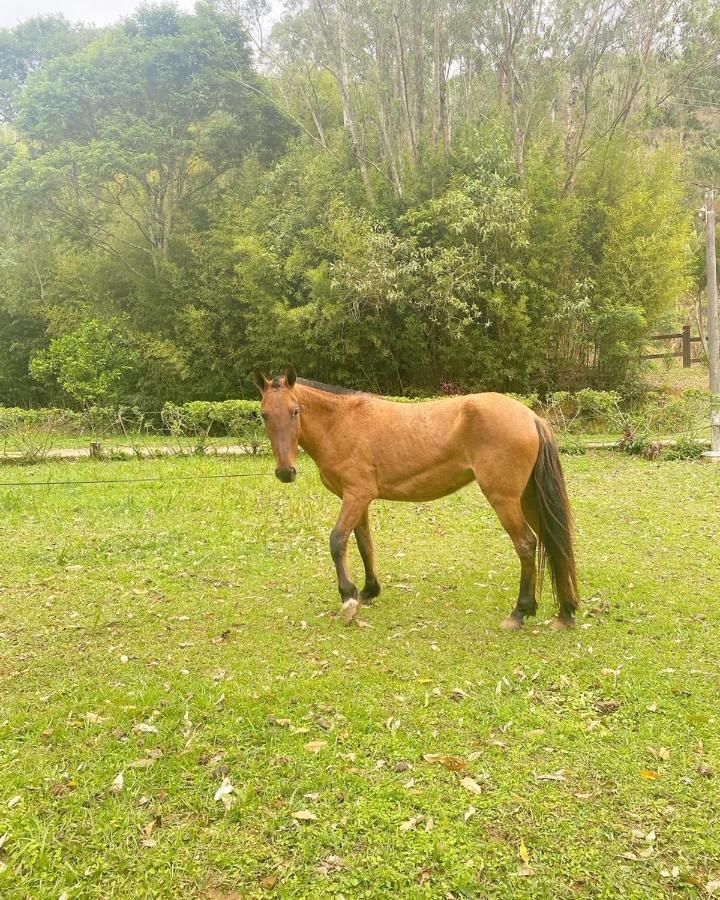 Hotel Fazenda Bonanza Engenheiro Paulo de Frontin Eksteriør billede